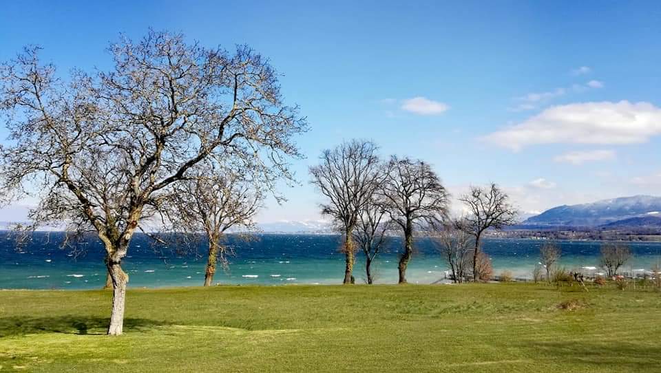 Vue au bord du lac Léman