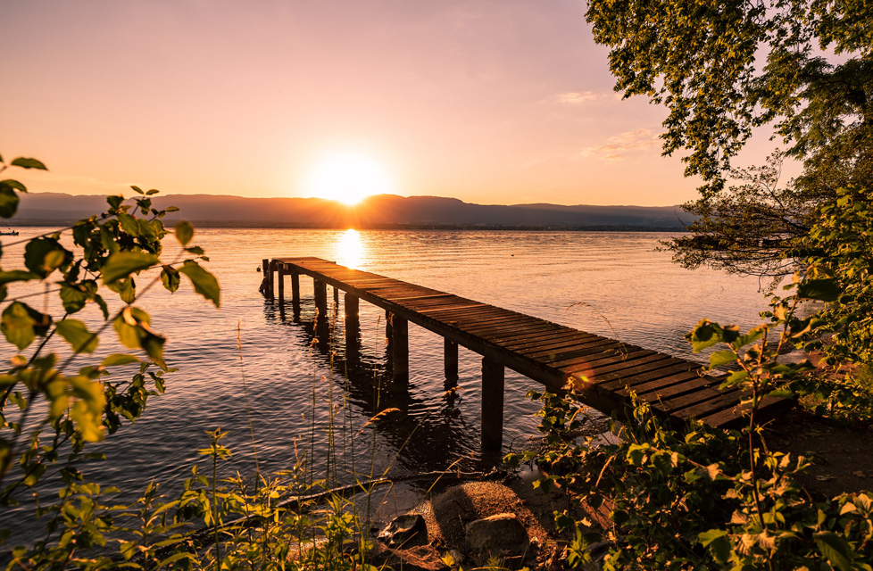 Vue au bord du lac Léman