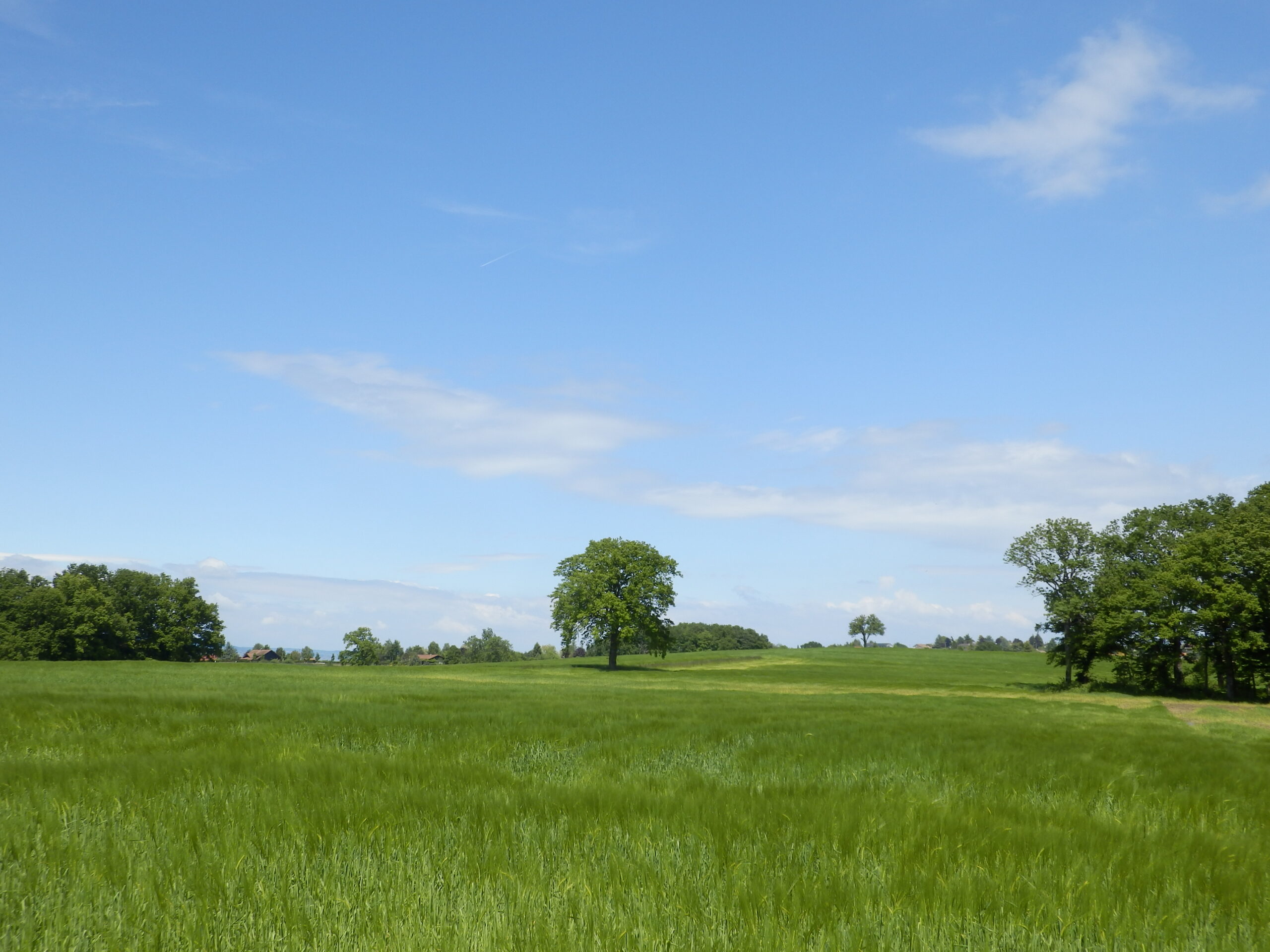 Promenade autour de Messery