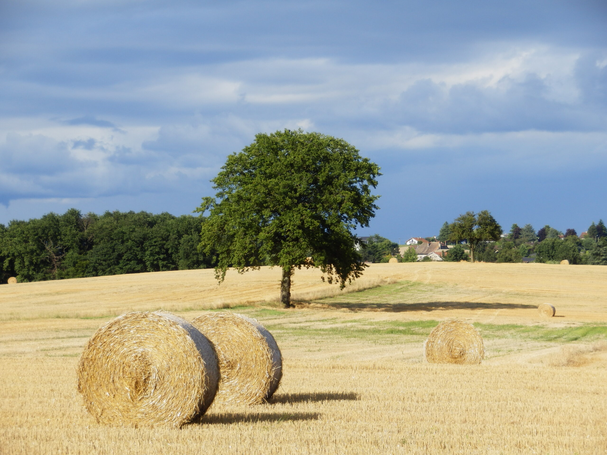 Vue sur un champs de Messery