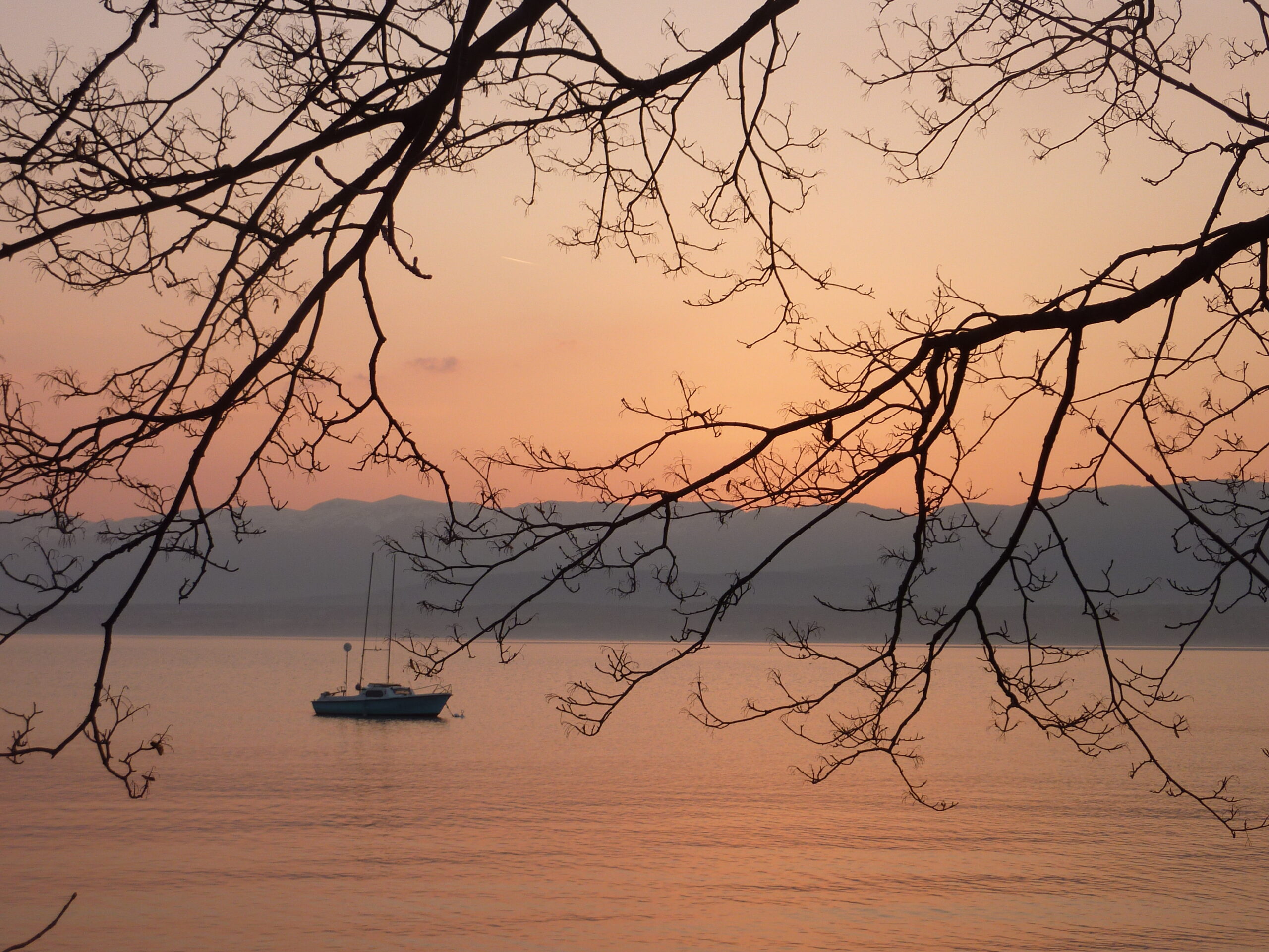 Un bateau sur le lac Léman