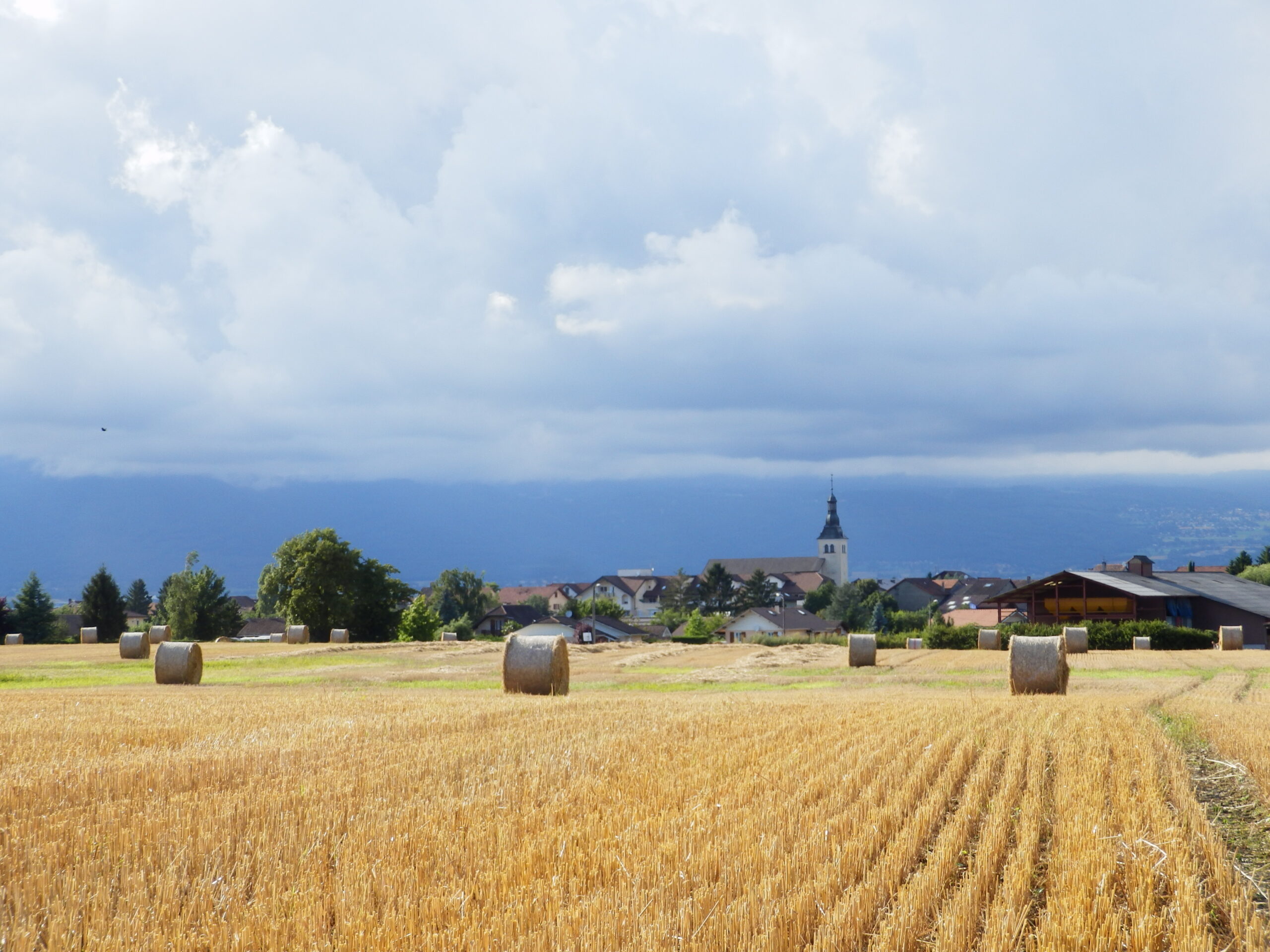 Messery, vue d'un champ